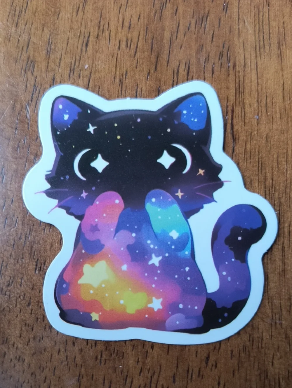 Galaxy Cat Vinyl Sticker - Multicolor